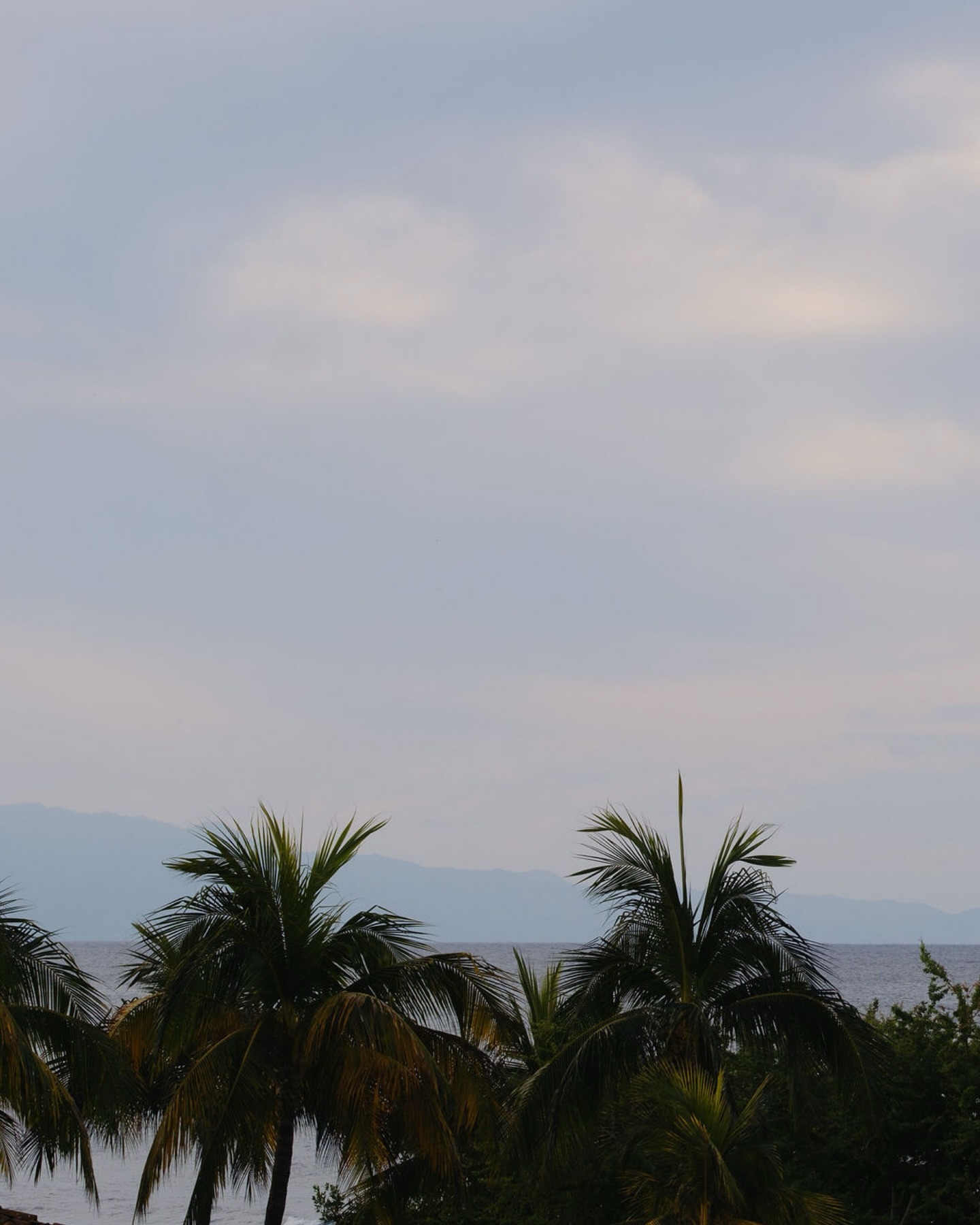 Post by @papertreestudio