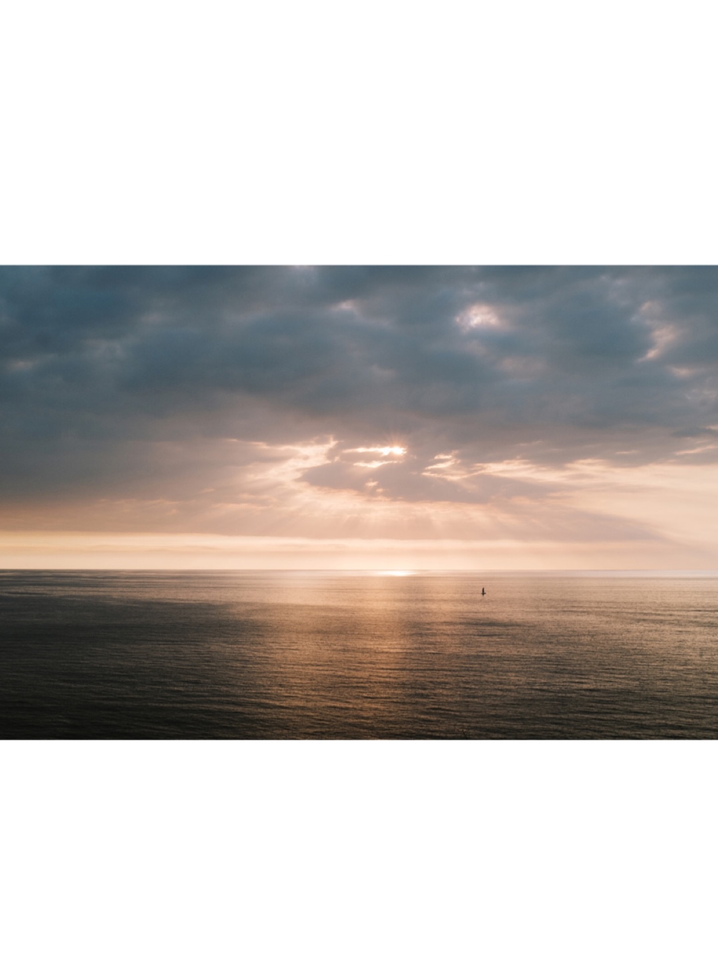 Post by @jamesandschulze